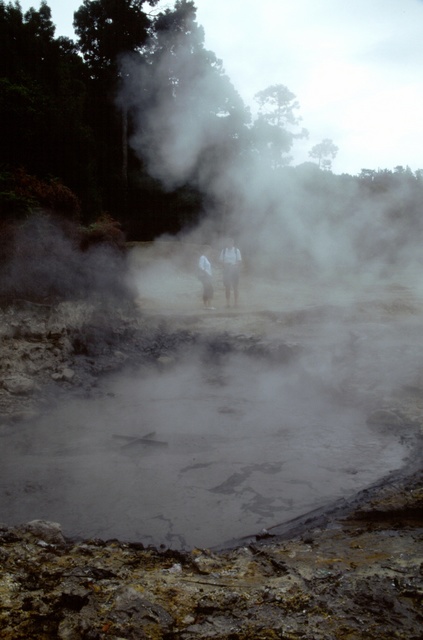  [Mud pool] 