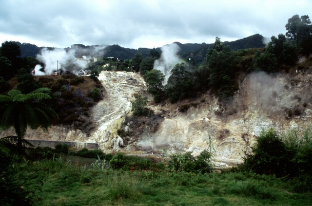  [Sulphur] 