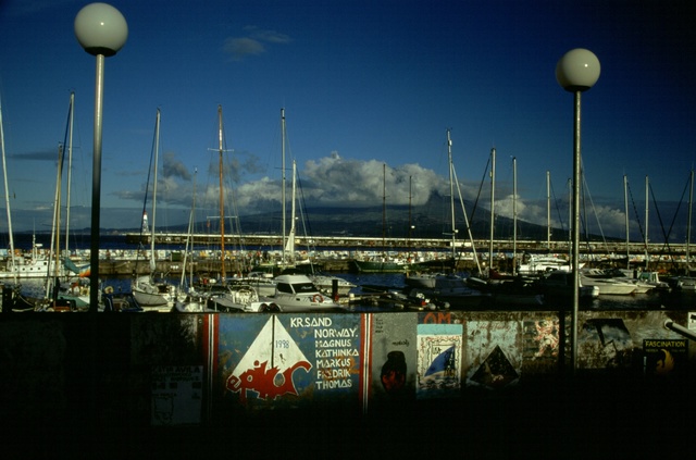  [Harbour] 