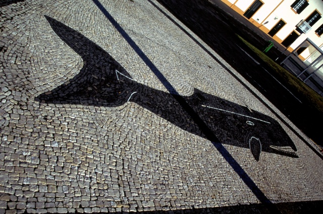  [Pavement] 