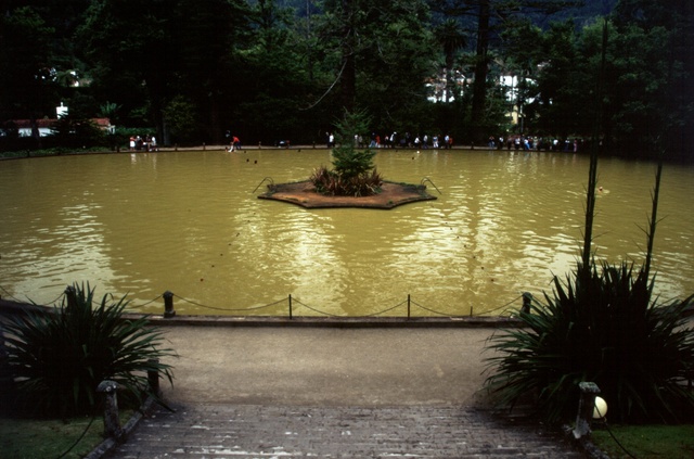  [Lake] 