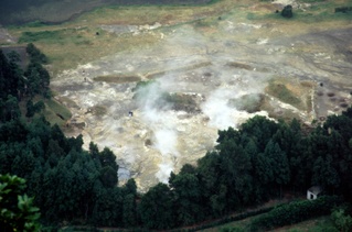  [Fumaroles, Furnas Lake] 