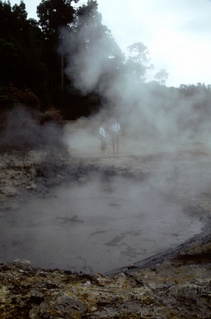  [Mud pool] 