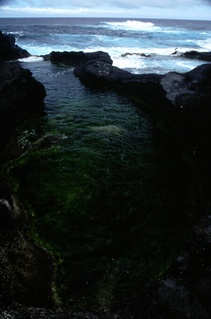  [Ponta dos Mosteiros] 