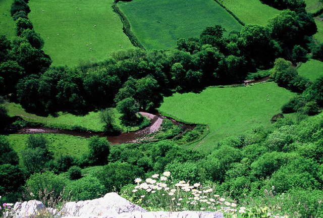  [River] 