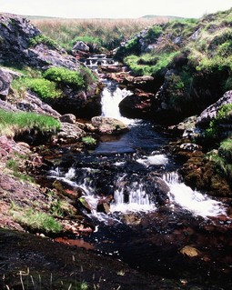  [Afon Twrch] 