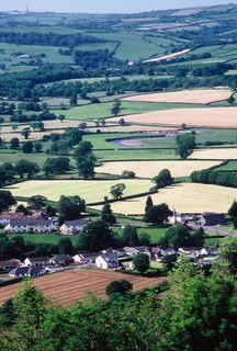  [Fields] 