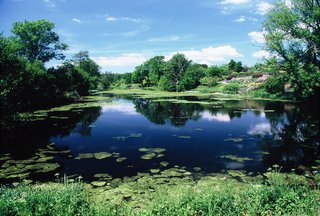  [Lake] 