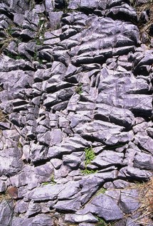  [Limestone pavement] 