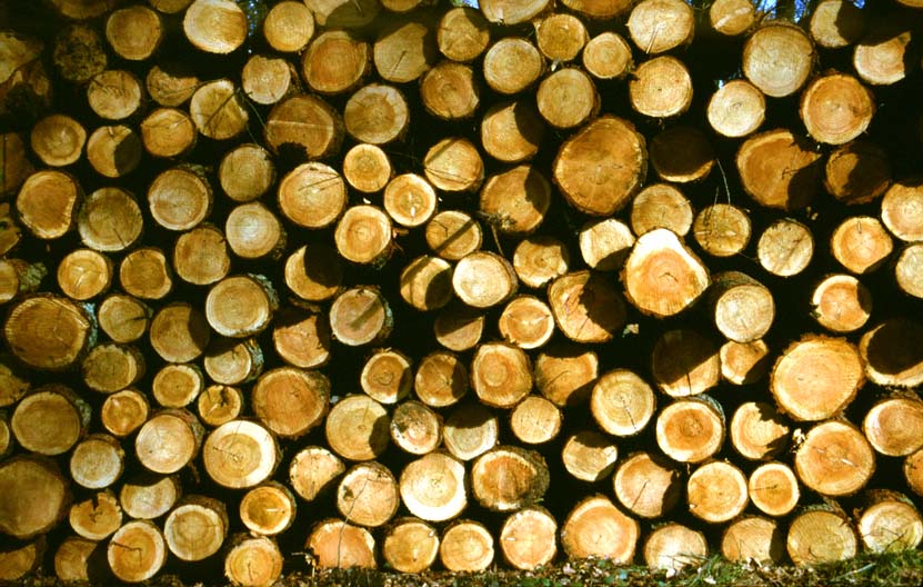  [Logs] 