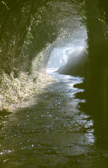  [Watery Lane] 