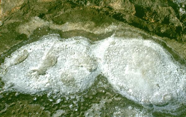  [Sea salt] 