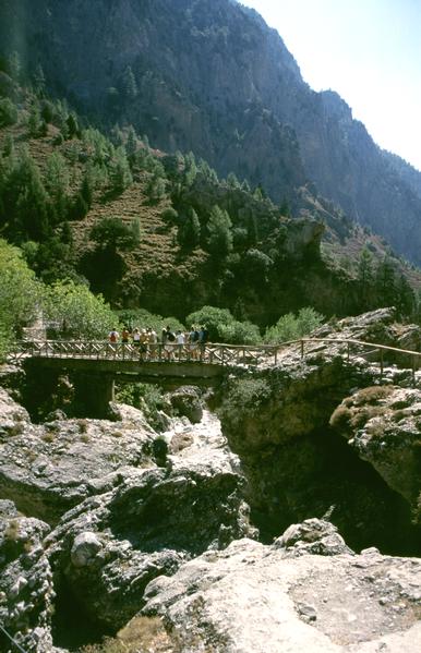  [Bridge] 