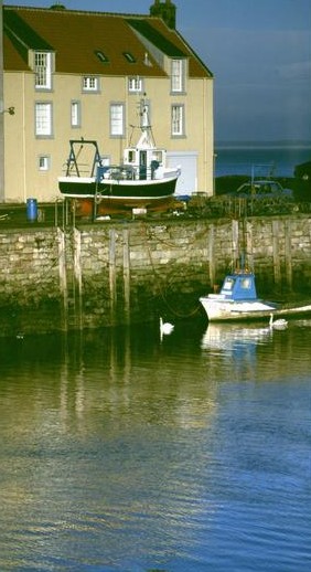  [Harbour] 