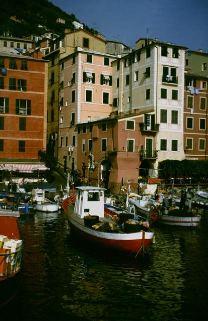  [Camogli] 