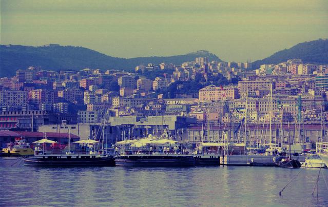 [Harbour] 