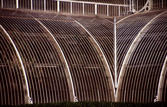  [Palm House] 