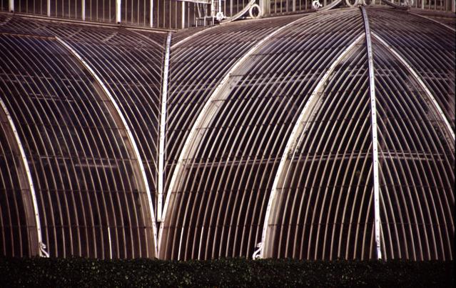  [Palm House] 
