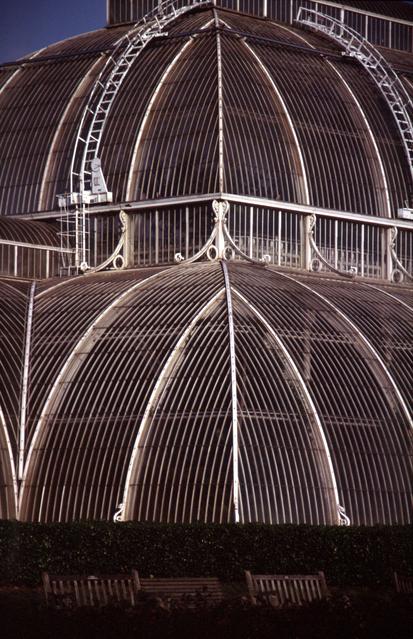  [Palm House] 