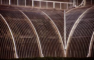  [Palm House] 