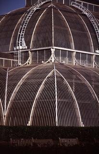  [Palm House] 