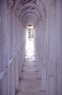  [Temperate House] 