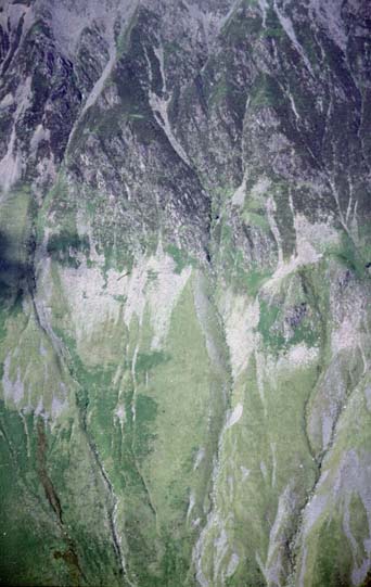 [Scree, Honister Pass] 