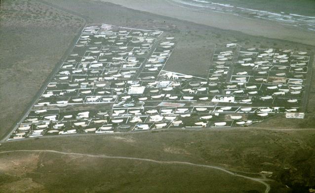  [Famara] 