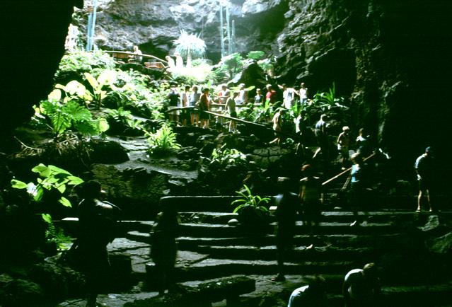  [Entrance] 