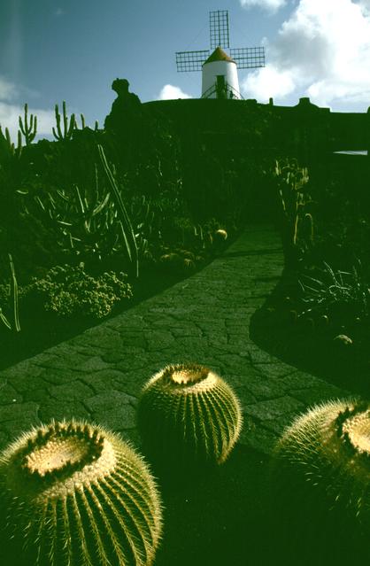  [Jardin de Cactus] 
