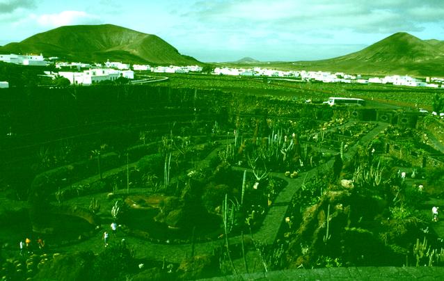  [Jardin de Cactus] 