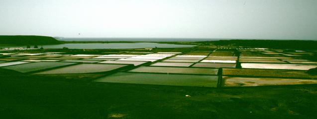  [Salinas de Janubio] 