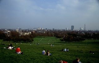  [View] 