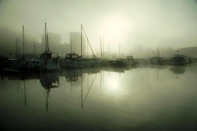  [Poplar Dock] 