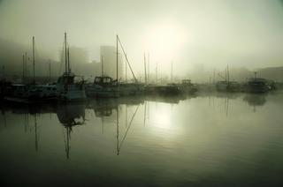  [Poplar Dock] 