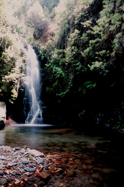  [Fonte do Cedros] 