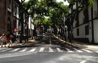  [Avenida Zarco] 