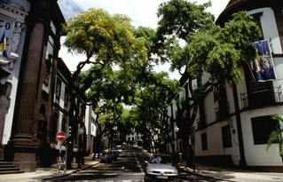  [Avenida Zarco] 
