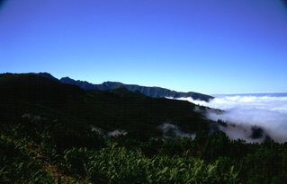  [Cloud] 