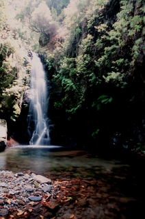  [Fonte do Cedros] 