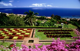  [Jardim Botanico] 