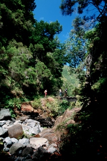  [Ribeiro do Cedros] 