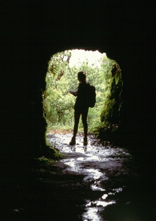  [Tunnel] 