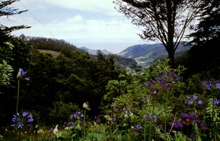  [View] 