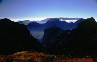  [View] 