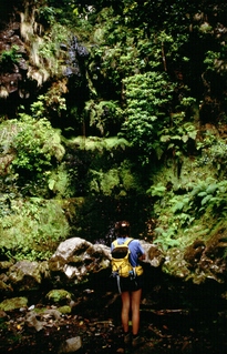  [Waterfall] 