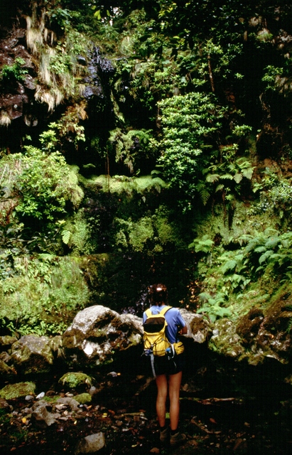  [Waterfall] 