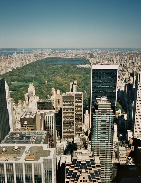  [Central Park] 