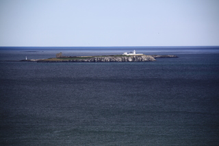  [Inner Farne] 
