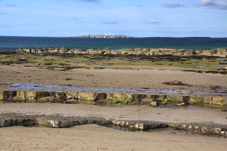  [Inner Farne] 